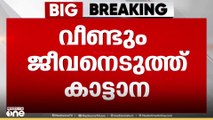 നിലമ്പൂരിൽ കാട്ടാന ആക്രമണത്തിൽ ആദിവാസി യുവാവ് കൊല്ലപ്പെട്ടു