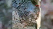 Hatay’da trafikte satırlı saldırı kamerada