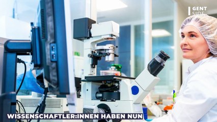 "Fluch des Pharao": Schimmelpilz soll Leben von Krebspatienten retten