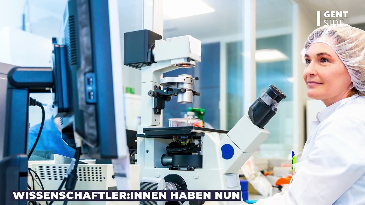 'Fluch des Pharao': Schimmelpilz soll Leben von Krebspatienten retten