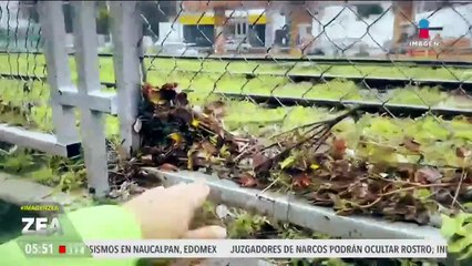 Continuarán las lluvias en gran parte del país