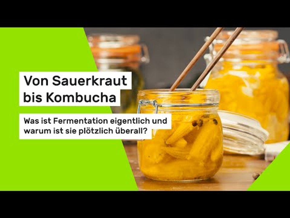 Von Sauerkraut bis Kombucha: Was ist Fermentation eigentlich – und warum ist sie plötzlich überall?
