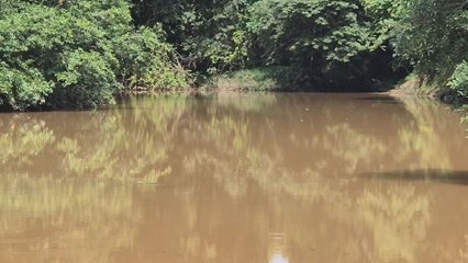 La contaminación impacta a varias cuencas en el país