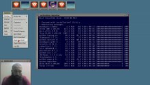 Playonlinux setup on Arch Linux