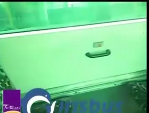 Irisbus Agora Line 0504