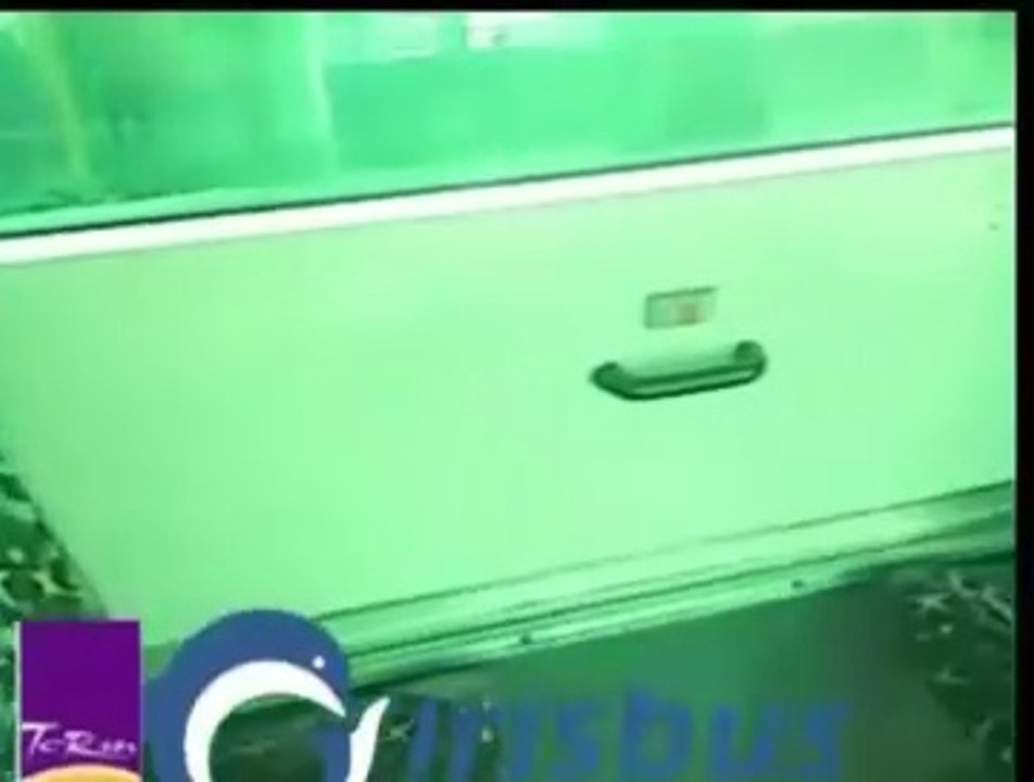 Irisbus Agora Line 0504