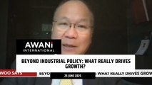 Beyond industrial policy: What really drives growth?