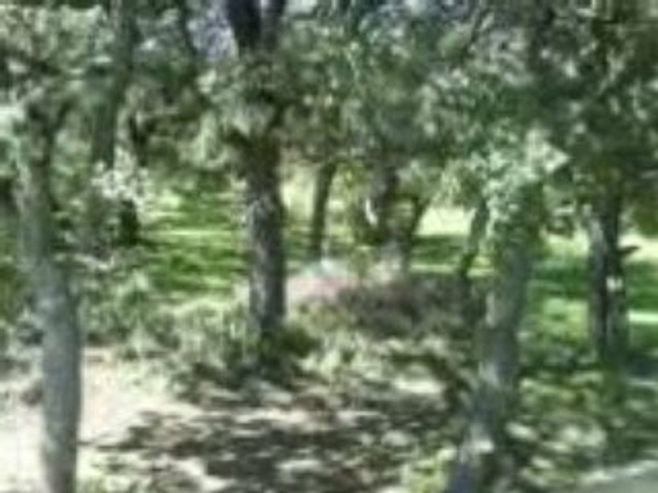 MOV00046