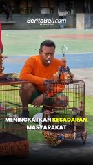 Edukasi Pelestarian Burung Lewat Lomba Kicau Mania