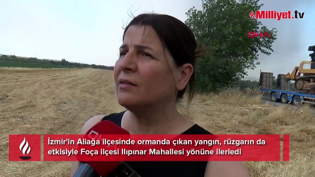 İzmir Aliağa'da orman yangını: Havadan ve karadan müdahale sürüyor