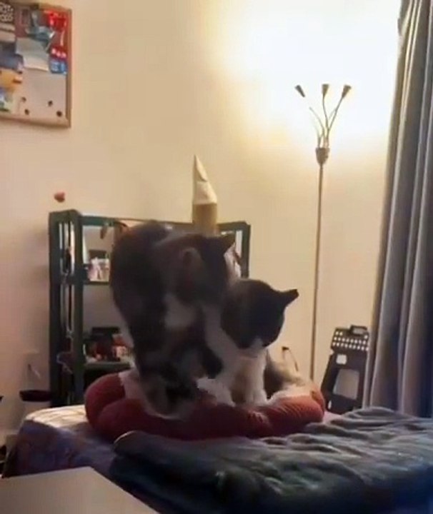 The masseurs are warming up 😂