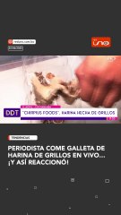 Harina de Grillos: La Nueva Fuente de Proteínas 🦗
