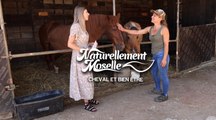 Naturellement Moselle : cheval et bien-être