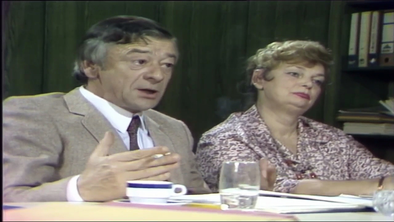 Bolji život (1987-1991) – Epizoda 3 – Domaća serija