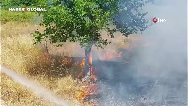 Sakarya'da ormanlık alanda yangın: Ekipler seferber oldu