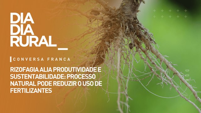 Rizofagia alia produtividade e sustentabilidade: processo natural pode reduzir uso de fertilizantes