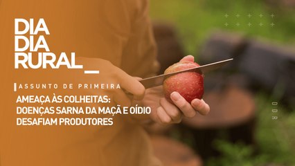 Ameaça às colheitas: doenças sarna da maçã e oídio desafiam produtores