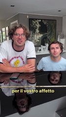 NAPA cantam música de Itália na Eurovisão: "Bellissima canzone"