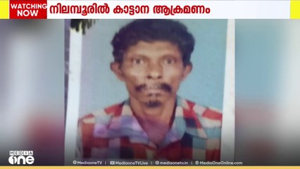 നിലമ്പൂരിൽ കാട്ടാന ആക്രമണം; ആദിവാസി യുവാവ് കൊല്ലപ്പെട്ടു