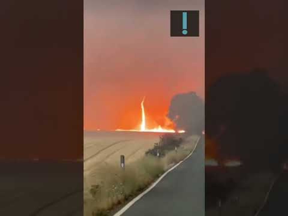 Chile decreta estado de catástrofe por incêndios florestais, que mataram mais de 20 pessoas #shorts