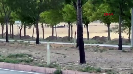 ANKA-3 boş araziye acil iniş yaptı