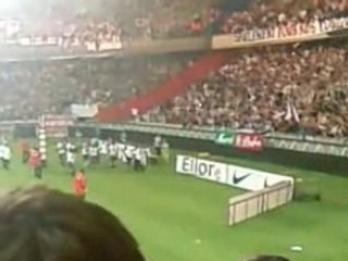 hommage Parc Pauleta ASSE