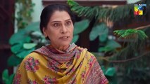 Ism-e-Yaraan -  Episode 3 - 25th June 2025- HUM TV