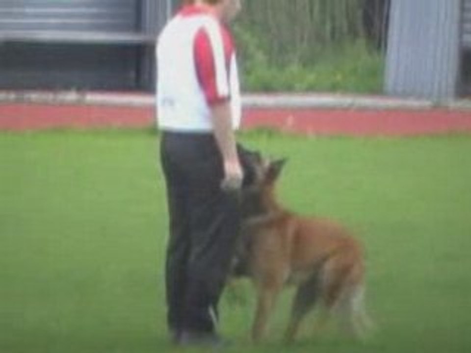 FMBB-2008-UO-Bauer/Gonzo