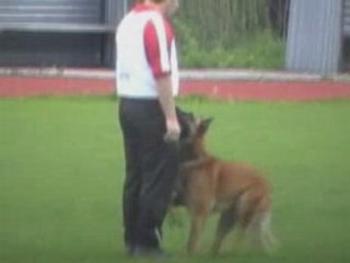 FMBB-2008-UO-Bauer/Gonzo