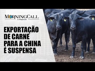 Caso de mal da vaca louca pode ajudar governo com inflação