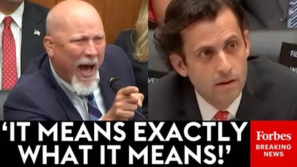 'It's True And Everybody In America Knows It!': Chip Roy Absolutely Explodes At Dems' Witness