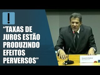 Haddad espera que BC diminua juros após medidas anunciadas nesta terça