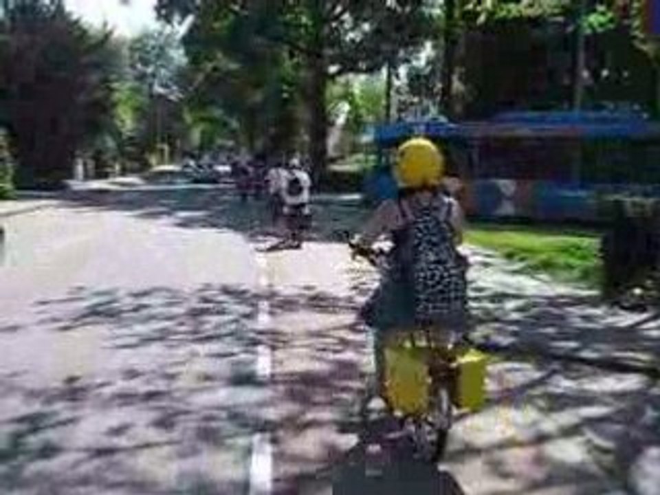 60 jaar solex nederland.60 ans du Solex Hollande Mai 2008