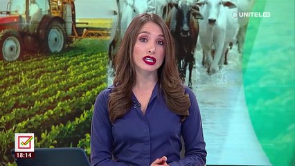 Andrónico dice que no pudo asistir al foro agropecuario por falta de tiempo