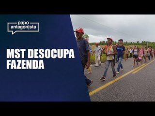 Sem-terra mantêm ocupação ilegal de duas áreas da empresa de papel Suzano na Bahia