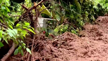 tn7-Casa de adulto mayor cayó a guindo tras deslizamiento en Ciudad Quesada-250625