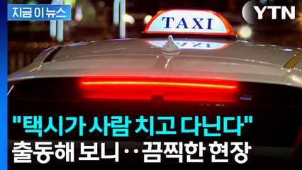 택시기사 살해하고 광기 어린 운전...20대 긴급체포 [지금이뉴스]  / YTN