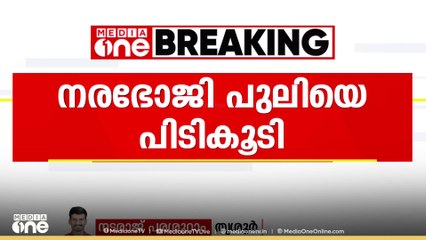 തമിഴ്നാട് വാൽപ്പാറയിൽ ആറു വയസ്സുകാരിയെ കൊലപ്പെടുത്തിയ പുലിയെ പിടികൂടി