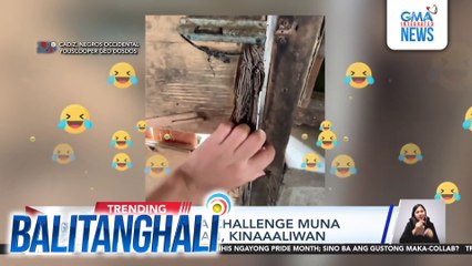 Pintong extra challenge muna bago mabuksan, kinaaliwan | Balitanghali