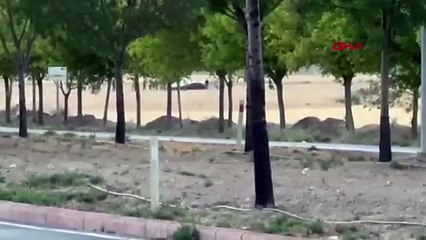 Türkiye'nin gökyüzündeki gururu yerli SİHA ANKA III acil iniş yaptı