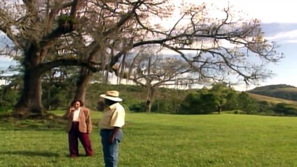 Alexandre na Fazenda 🐄