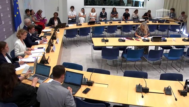 Commission des affaires européennes : Impact de l’intelligence artificielle sur la culture ; Secteur des transports européens face à l’enjeu de la décarbonation - Mercredi 25 juin 2025