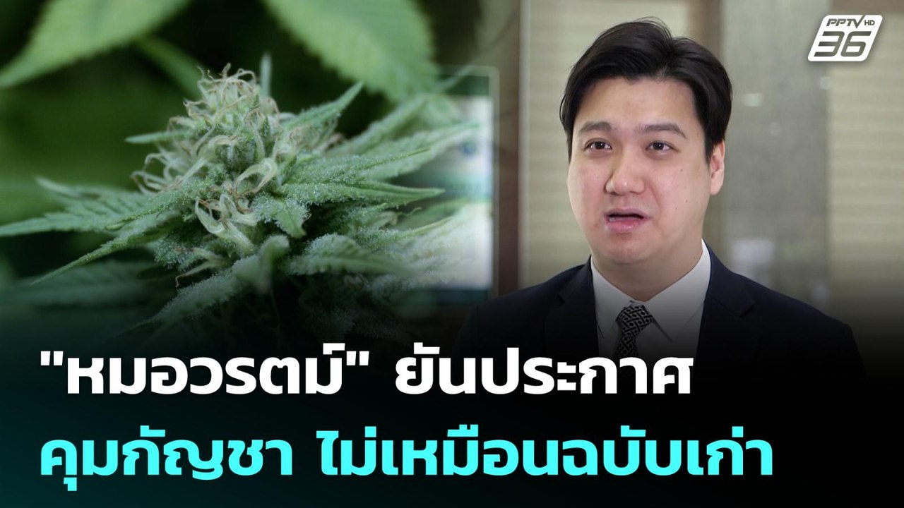 "หมอวรตม์" ยันประกาศคุมกัญชา ไม่เหมือนฉบับเก่า...