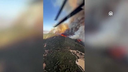 İzmir'de orman alevlere teslim! 550'den fazla kişi tahliye edildi