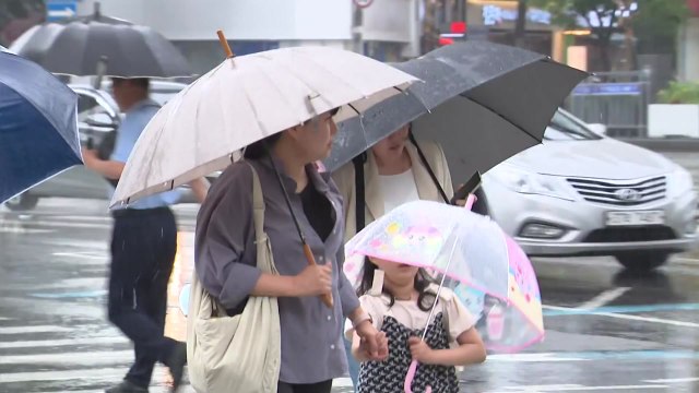 [날씨] 오늘∼내일 장마 소강, 무더위...주말, 전국 장맛비 / YTN