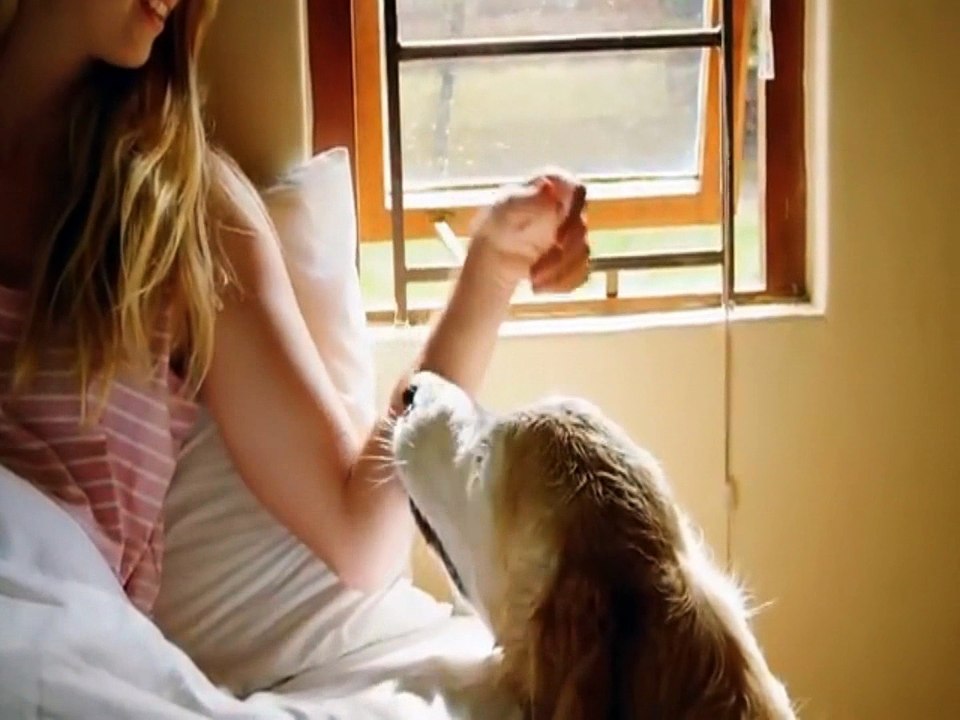 7480   K  Rieger  E Wolff Hund