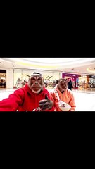 A monkey doing vlog in Jaggu bhai ki girlfriend asking for iphone 🐵