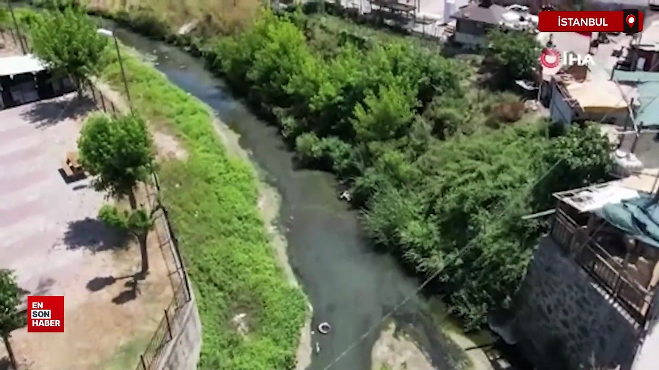 Arnavutköy'de dere kötü koku yayıyor: Vatandaş tepkili