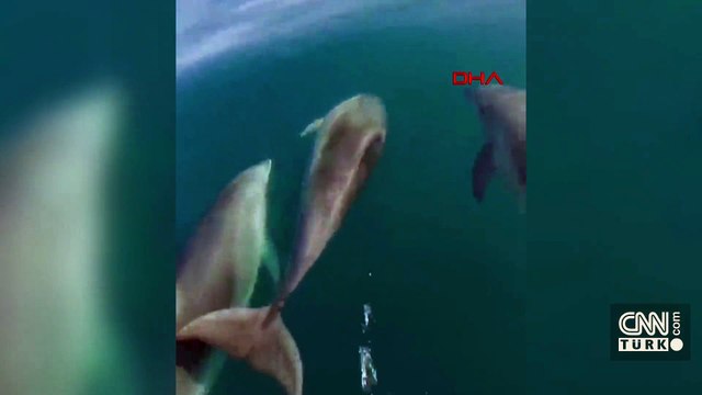 Bartın'da yunuslar balıkçı teknesine eşlik etti