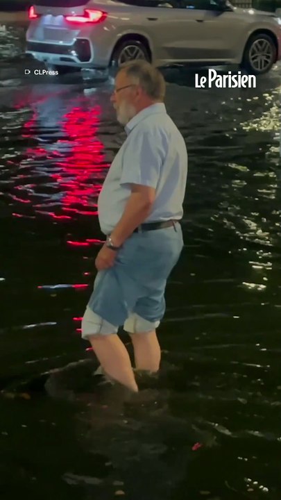 Violent orage à Paris : arbres arrachés et rues inondées